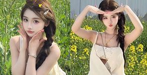 林婉静
