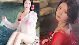 苏苏是猪猪