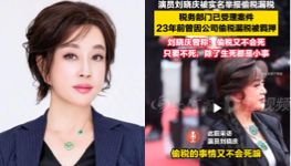 偷税漏税