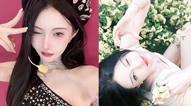 抖音网红