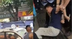 杨某全