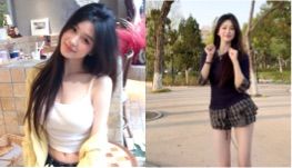 小白菜晚上好