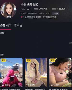 小厨娘美食记
