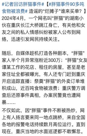 胖猫事件