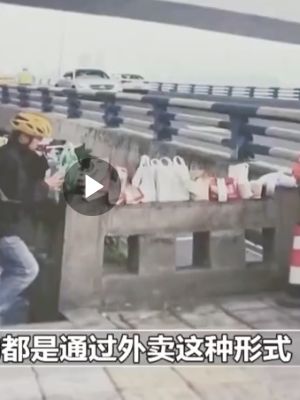 胖猫家人涨粉