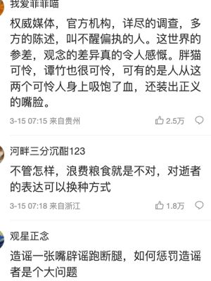 网络造谣