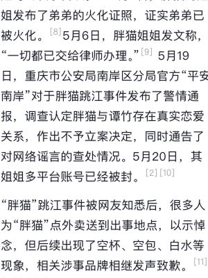 胖猫事件
