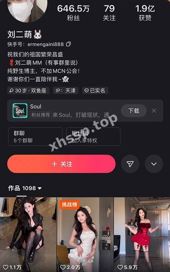 刘二萌快手网红