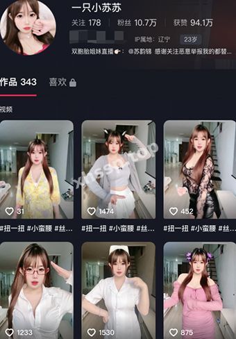 一只小苏苏