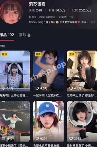 紫苏蛋卷