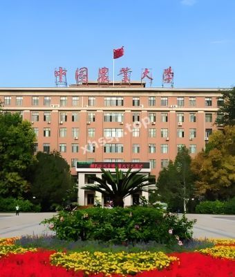 唐慧静