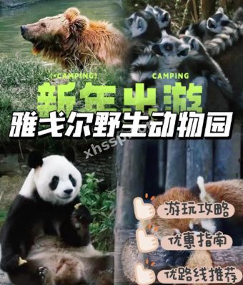 老虎吃人