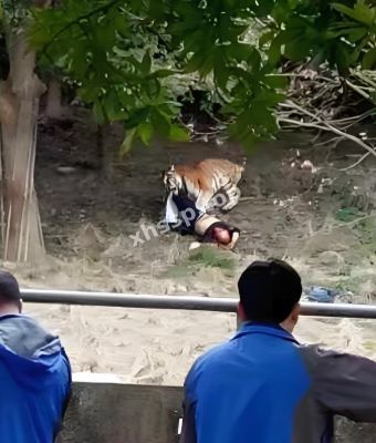 血腥八卦