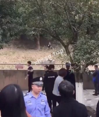 宁波雅戈尔动物园