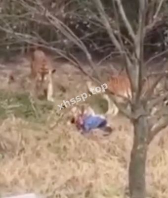 男子惨死