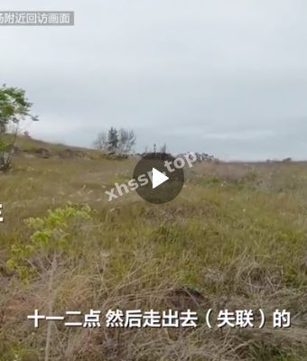 墓地