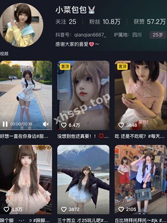 小菜包包