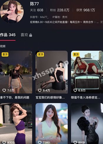 擦边车模