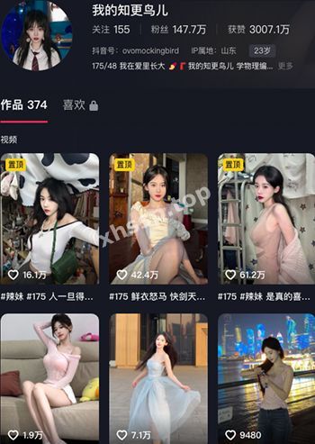 我的知更鸟儿