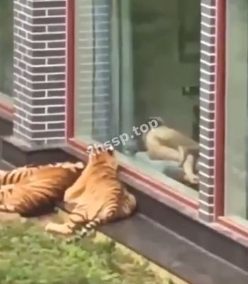 床照曝光