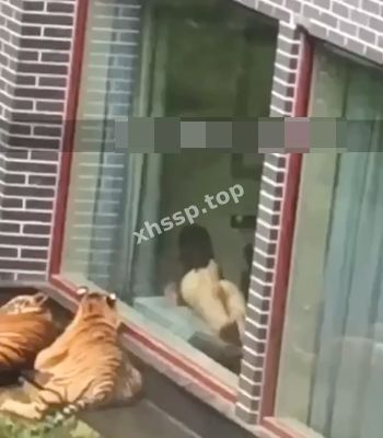 流量密码
