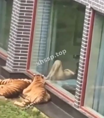 抖音景点推荐官