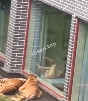 妍姐