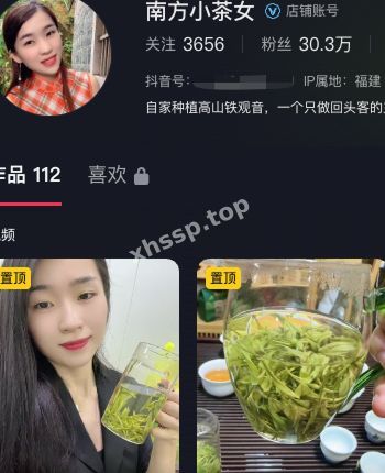 南方小茶女