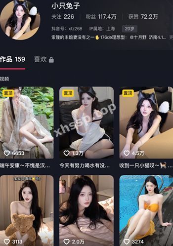 小只兔子