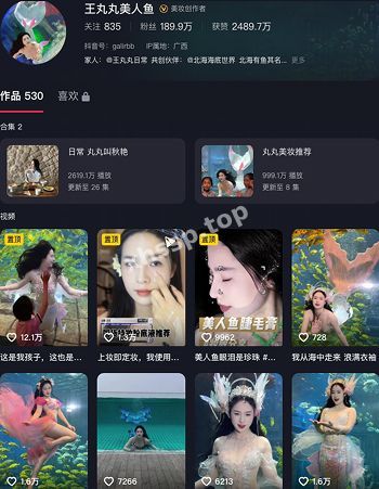 王丸丸美人鱼