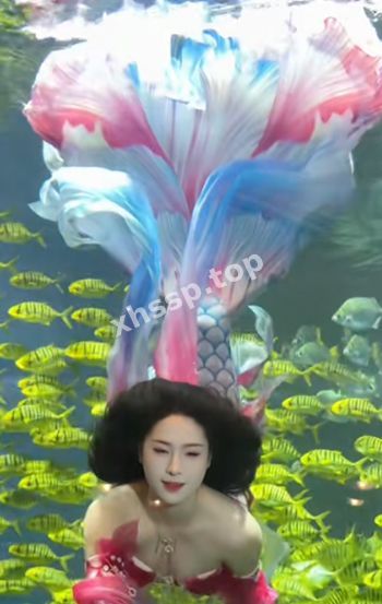 东方美学脸蛋