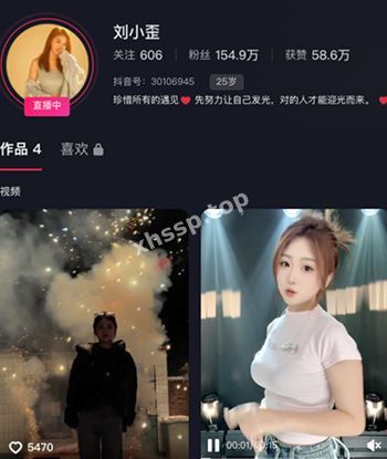 刘小歪聚众淫乱