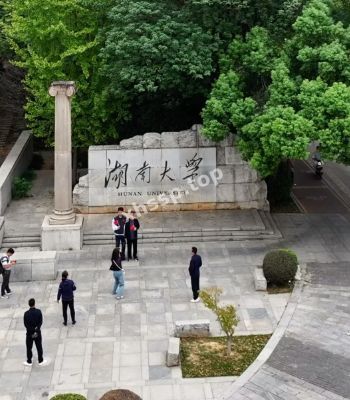 湖南大学生