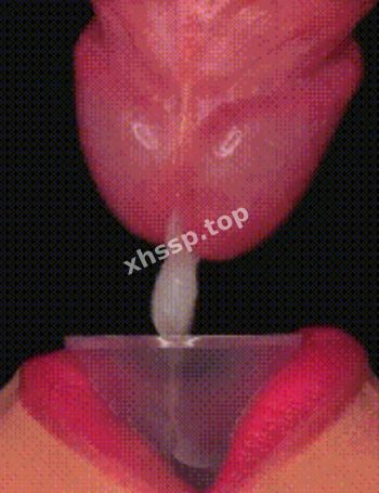 JK短裙调教