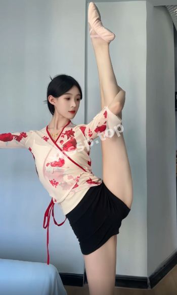擦边作品