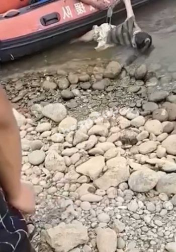 网络暴力