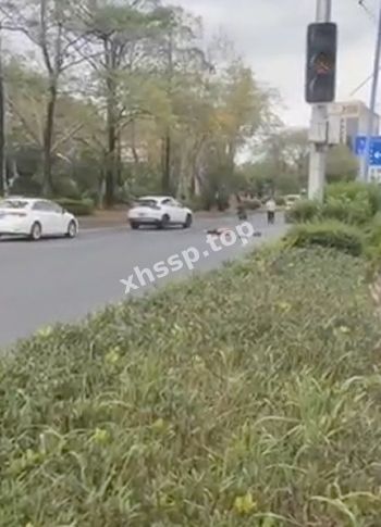 法律严惩