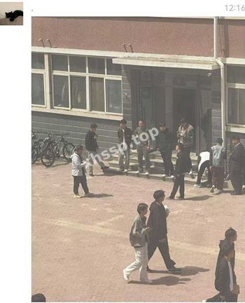 八卦爆料