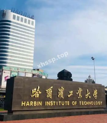 反差婊