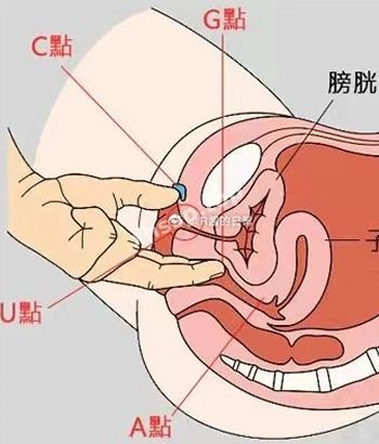 高潮针
