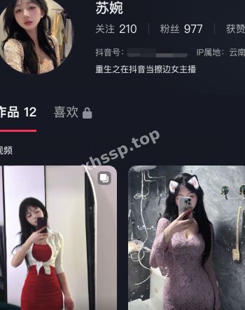 苏婉