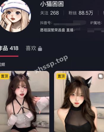 小猫困困