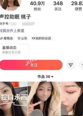快手声控