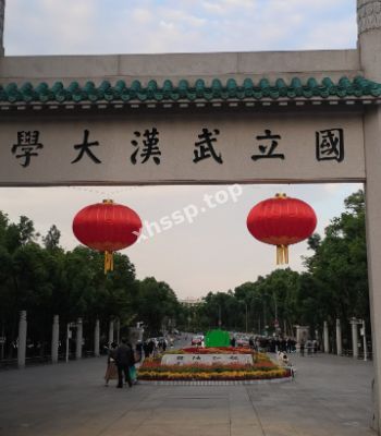 陈晓彤