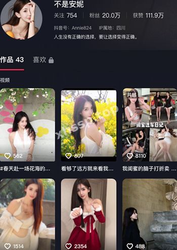 不是安妮