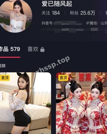 爱已随风起