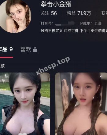 拳击小金猪