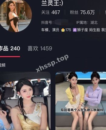 兰灵王