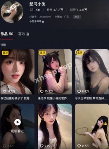 起司小兔