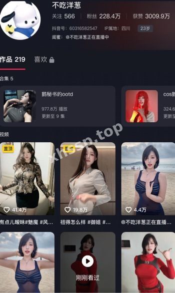 网红不吃洋葱